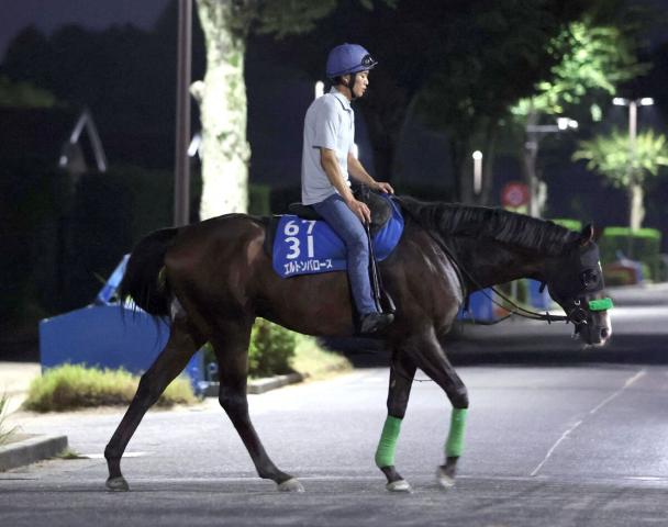 【中京記念】マイルCS2着以来のエルトンバローズは好仕上がり　陣営「秋に向けて格好をつけて欲しい」