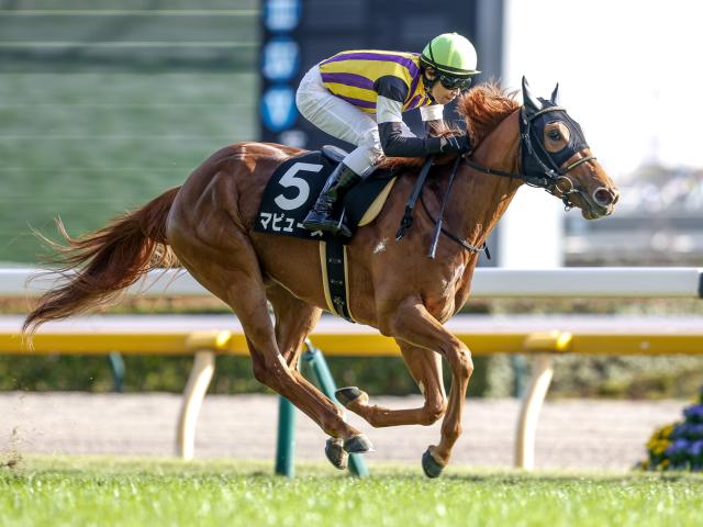 【中京記念予想】サマーマイルシリーズの第3戦 瞬発力が求められるコース