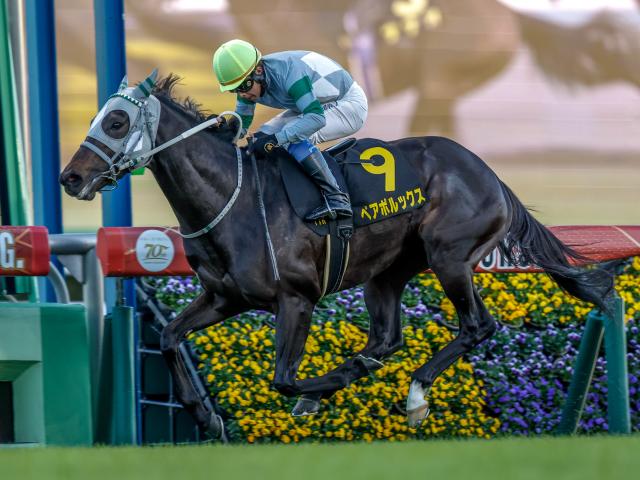 【有力馬動向】北海道シリーズ3戦目で勝負気配！ 人気面でも妙味ありのペアポルックス/馬三郎のつぶやき