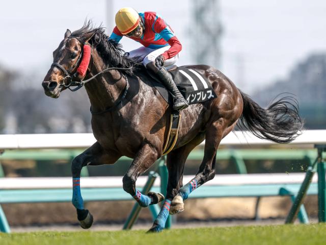 【今日の注目ポイント】新潟JSと長久手特別にオークス3着のタガノアビーが登場