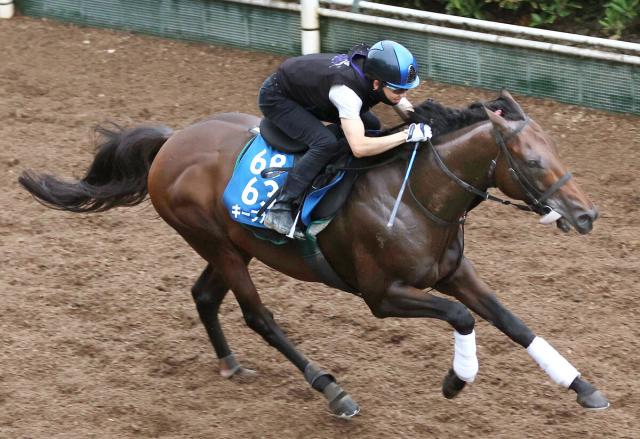 【中京記念】キープカルムが重賞連勝で夏のマイル王者へ　中竹調教師「勝たせてやりたいね」