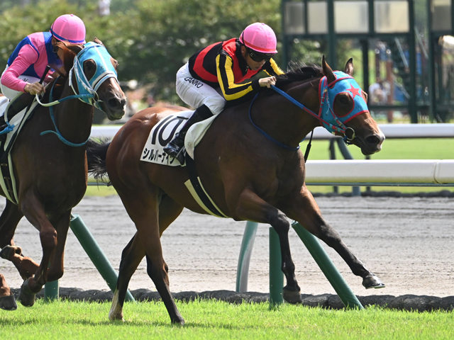 【中京2R新馬戦結果】ミッキーアイル産駒シルバーナイツが人気2頭の競り合いを制す