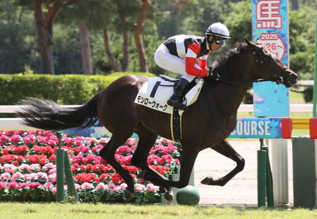 新馬戦総括】圧巻ショウナンガルフ完成度高い アランカールは
