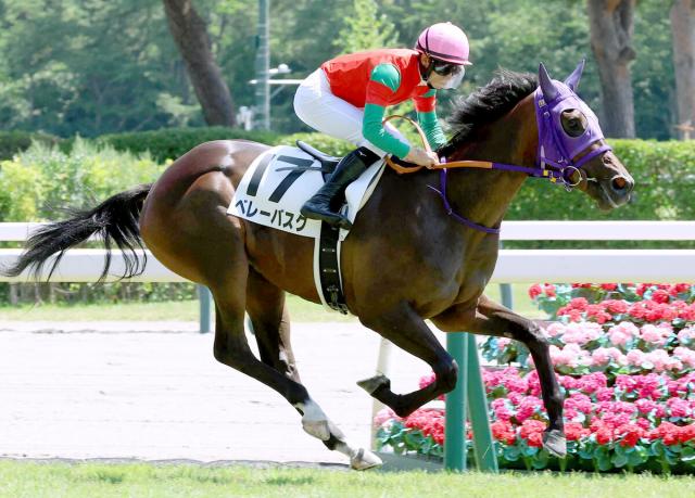 【新潟5R・2歳新馬】ベレーバスクが危なげなく3馬身差V　ベンバトル産駒はJRA産駒初勝利