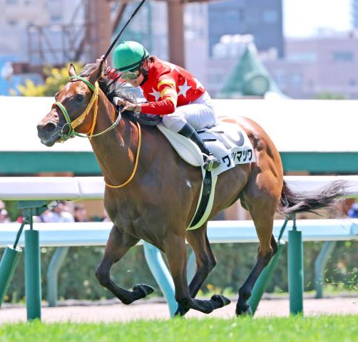 後続待たずに逃げ切り初勝利のワタシマツワ　往年のヒット曲を連想させる馬名に「わりとやるもんだねと」