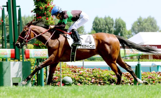 【札幌5R・2歳新馬】ナオミライトニングが力強く抜け出す　佐々木大輔騎手「道中で力を抜けて走らせられた」
