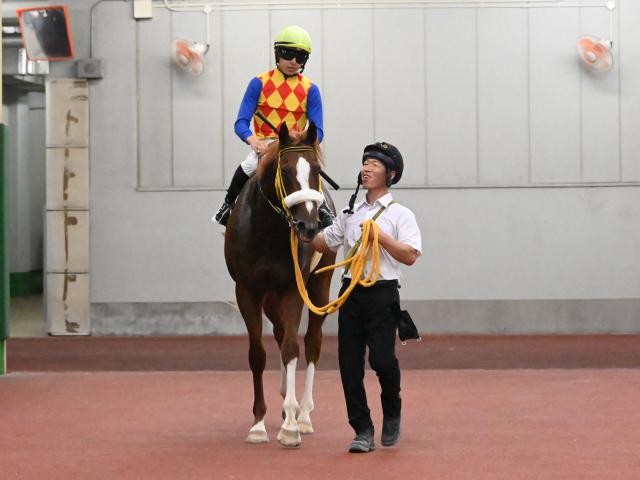【2歳未勝利中京1Rレース後コメント】テーオーグレーザー高杉吏麒騎手ら