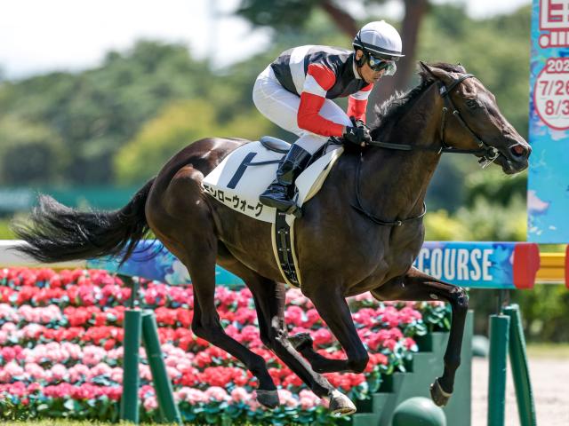 【新潟4R新馬戦結果】キズナ産駒モンローウォークが断然人気に応えて快勝