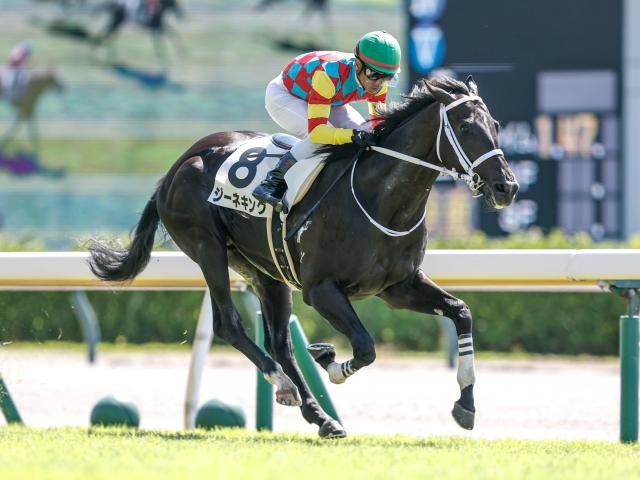 【2歳未勝利新潟1Rレース後コメント】ジーネキング戸崎圭太騎手ら