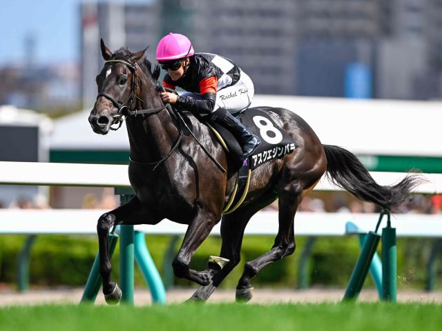 【コスモス賞結果】アスクエジンバラが人気に応えて2連勝