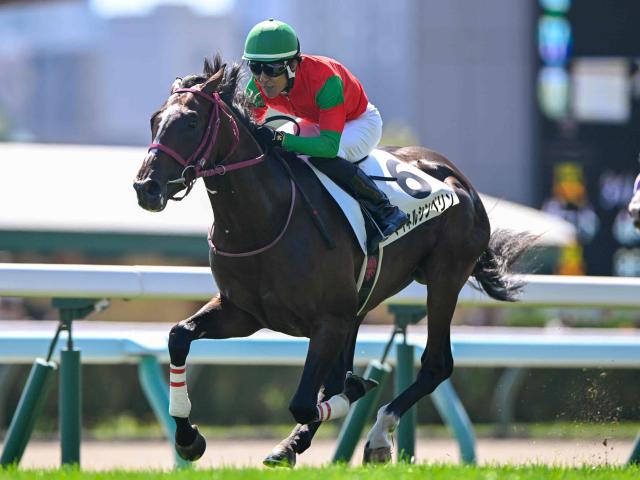 【2歳未勝利札幌1Rレース後コメント】マイネルシンベリン丹内祐次騎手ら