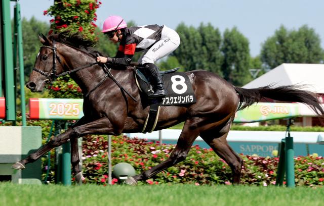 【コスモス賞】アスクエジンバラがキング姐さんのエスコートで2連勝　「ベイビーっぽいところを見せていた」
