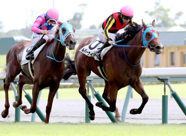 「メイショウ」松本好雄オーナーのJRA通算2000勝は持ち越し　17日は3場で計8頭が出走