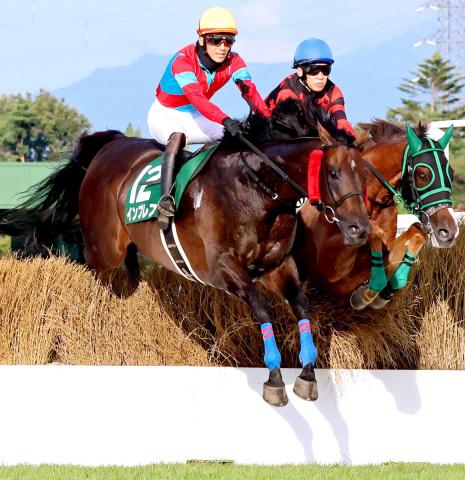 【新潟ジャンプS】キズナ産駒のインプレスが重賞初制覇　佐々木晶三調教師は全10場重賞制覇を達成