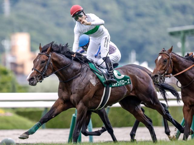 【中京記念前日オッズ】エルトンバローズが3.1倍で1番人気