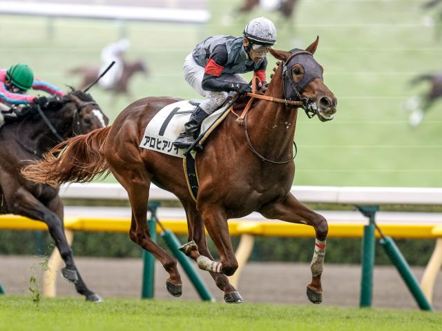 【仏・ギヨームドルナノ賞結果】日本のアロヒアリイが逃げ切り完勝！ 海外で重賞初制覇