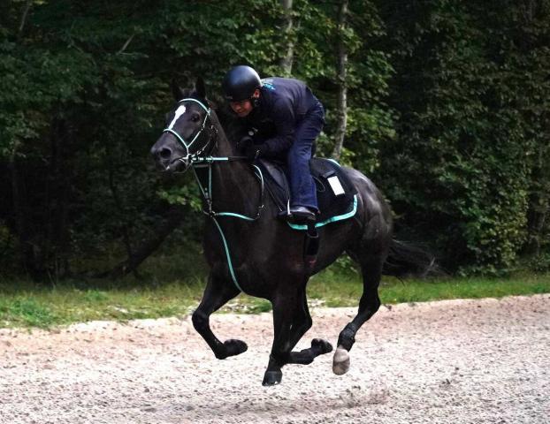 【仏・G1ジャックルマロワ賞】アスコリピチェーノ　黒岩師が意気込み「挑戦できることは楽しみ」