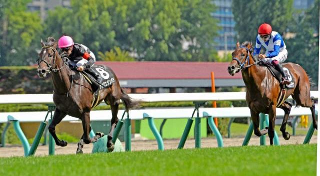【札幌9R・コスモス賞】アスクエジンバラV　積極策ハマった!福永師「3戦2勝は立派」