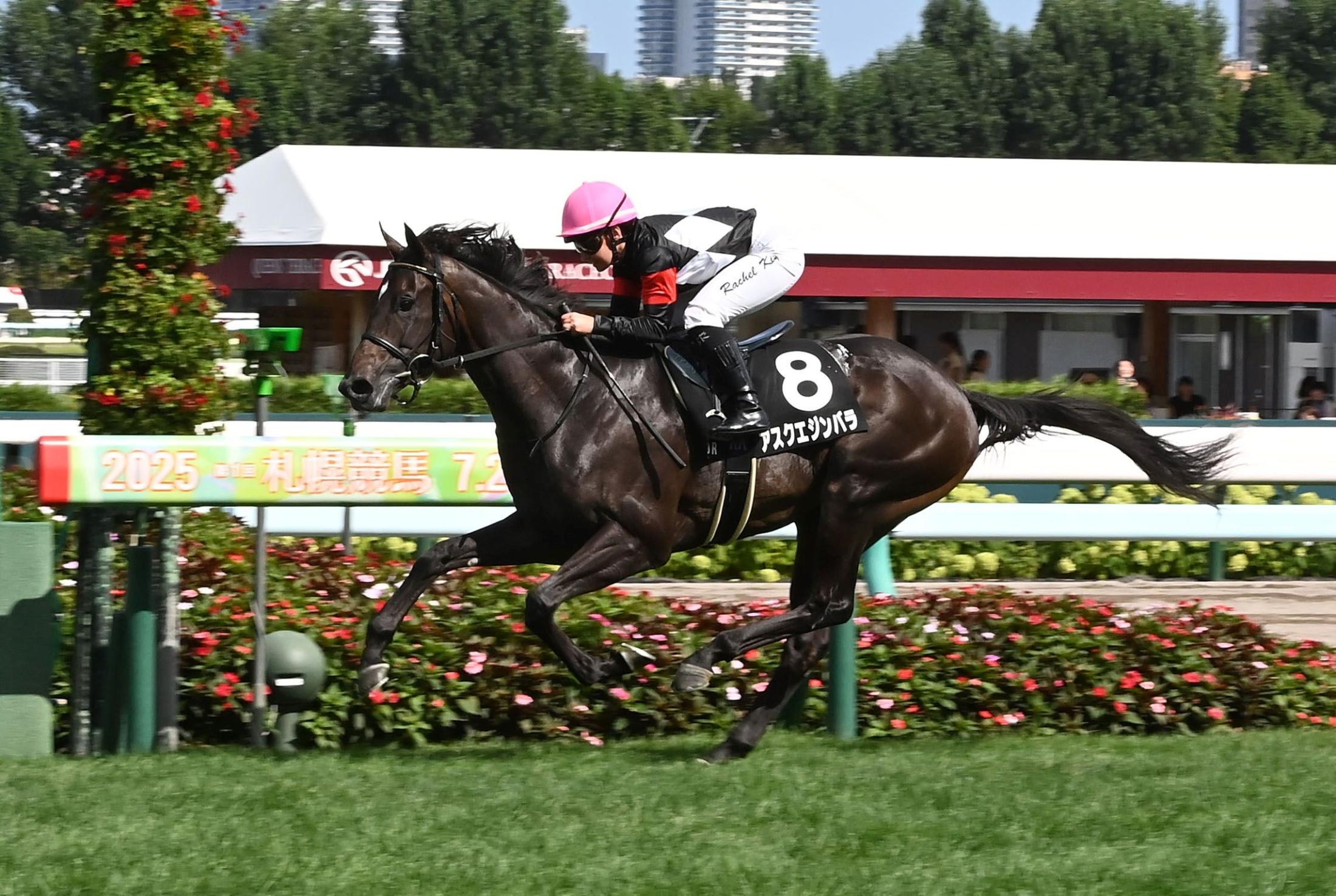 【コスモス賞】アスクエジンバラ　人気応え連勝　キング「メンタル面がまだまだ若い。きょうの経験が次につながれば」