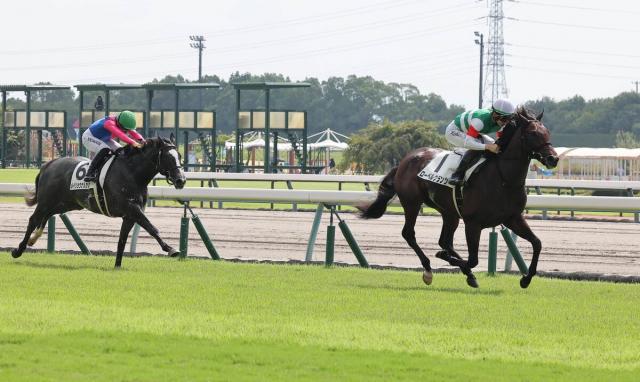 【中京1R・2歳未勝利】単勝1・1倍ローベルクランツが豪脚V　松山弘平騎手「すごい脚で非常に強い競馬」