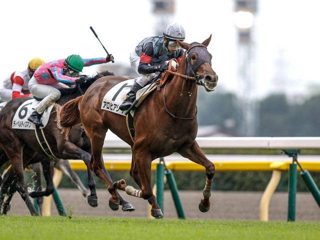 【ギヨームドルナノ賞レース後コメント】アロヒアリイ C.ルメール騎手ら