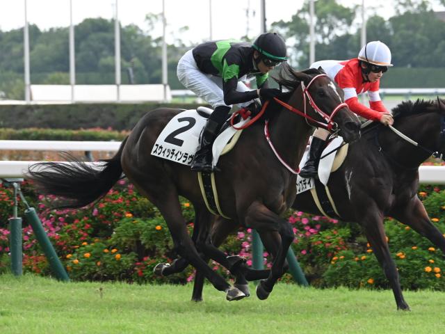 【中京3R新馬戦結果】コントレイル産駒スウィッチインラヴが接戦を制してV