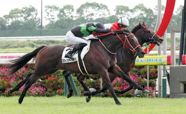【中京3R・2歳新馬】スウィッチインラヴが矢作厩舎コントレイル産駒初陣でV　坂井瑠星騎手「いいものを持っている」