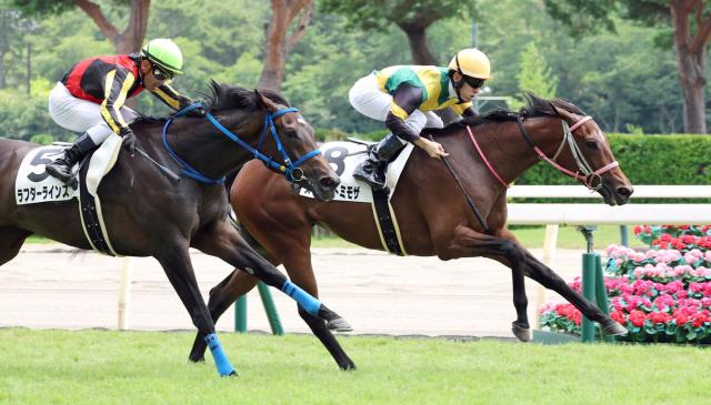 【新潟4R・2歳新馬】 ロードカナロア産駒のスウィフトミモザが競り勝つ　津村明秀騎手「まだまだ良くなってくる」