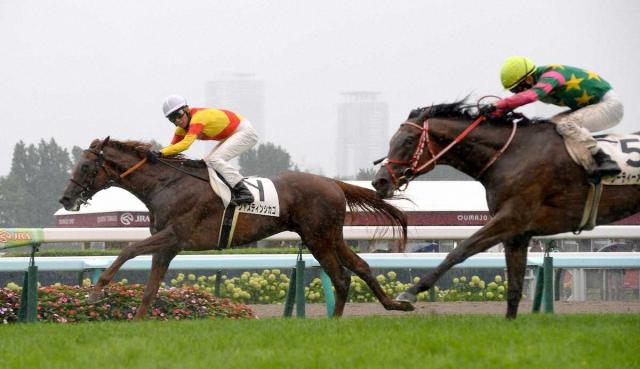 【札幌5R・新馬戦】2番人気ジャスティンシカゴが逃げ切り　武豊「着差以上に余裕があった」