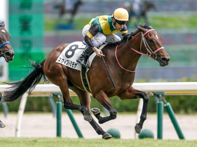 【新潟4R新馬戦結果】ロードカナロア産駒スウィフトミモザが初陣飾る