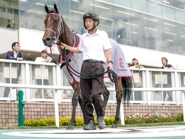 【メイクデビュー新潟4Rレース後コメント】スウィフトミモザ津村明秀騎手ら