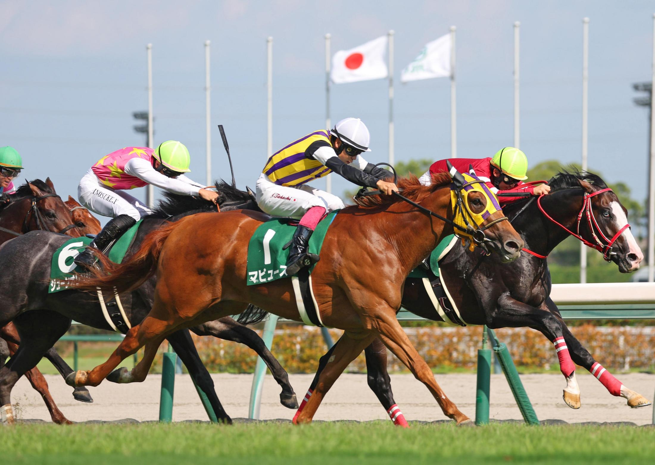 【中京記念】５番人気の３歳牝馬マピュースが重賞初制覇　３歳馬ワンツーで３連単３６万７６９０円で波乱に　横山武「減量したかいがありました」