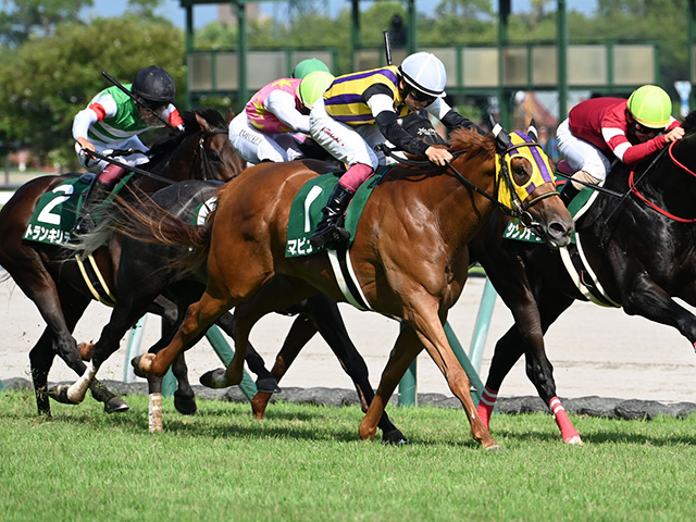 【JRA・WIN5】本日のWIN5は的中190票、配当261万7070円