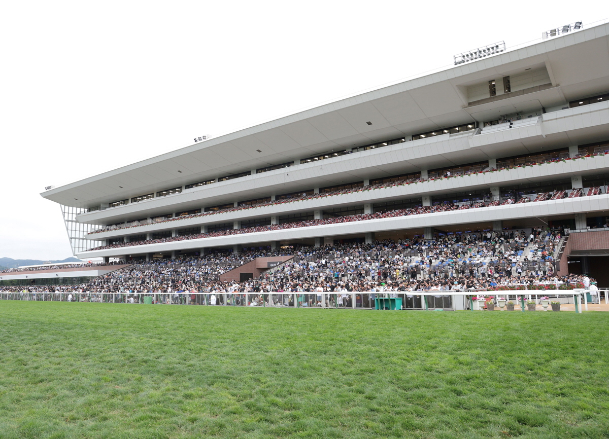 【札幌記念】大波乱の決着！１０番人気のトップナイフが悲願の重賞初Ｖ　横山典「とてもうれしい」