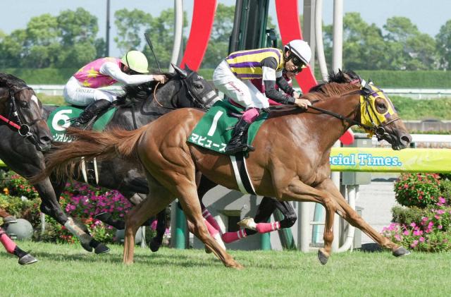 【中京記念】3歳牝馬マピュースが重賞初制覇　2着は逃げたシンフォーエバーで3歳馬ワンツー
