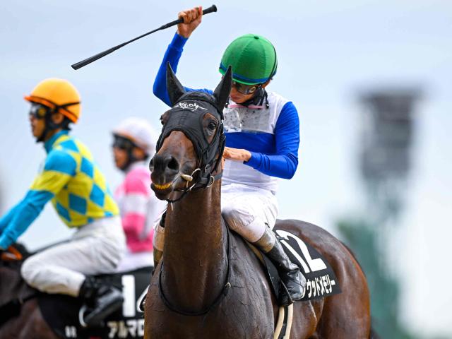 【小樽特別レース後コメント】ハリウッドメモリー横山和生騎手ら