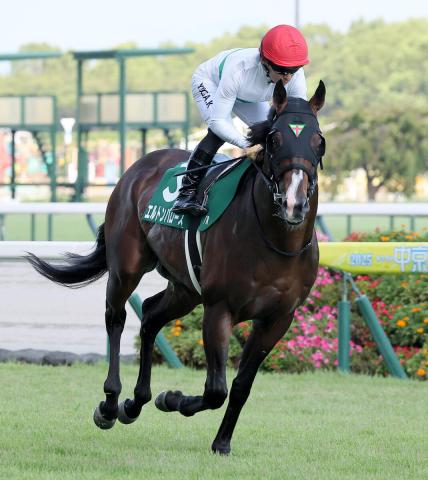 【中京記念】骨折休養で9か月ぶりのエルトンバローズは8着　川田将雅騎手「今日できる精いっぱいの走り」