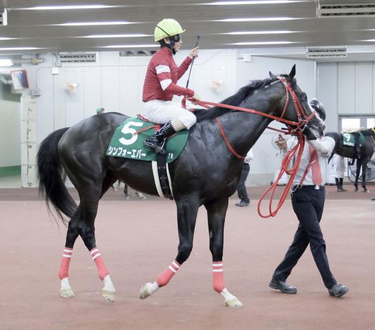【中京記念】「思い描いたレース」逃げたシンフォーエバーが2着　松若風馬騎手「残るかなという手応えでした」