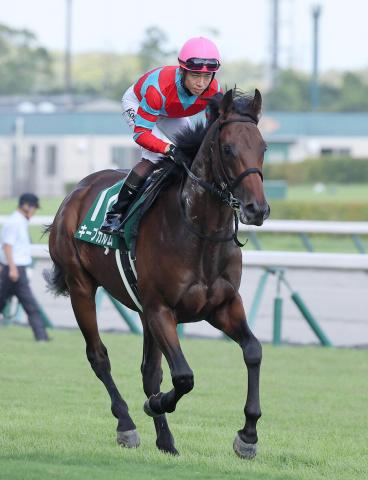 【中京記念】外枠が響いたキープカルムは5着　松山弘平騎手「もう少し内枠ならうまく潜り込めたと思いますが…」