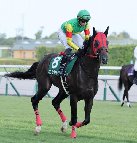 【中京記念】「道中は乗りやすかった」エコロヴァルツ　坂井瑠星騎手は差のない4着を評価