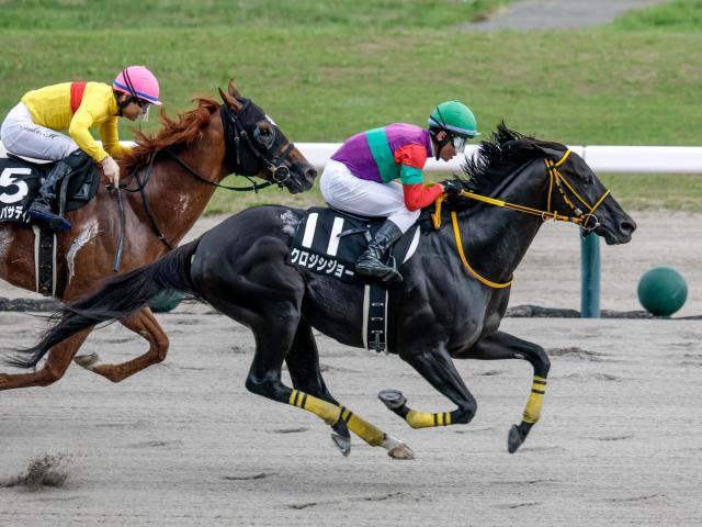 【NST賞結果】クロジシジョーが人気に応えて差し切り勝ち