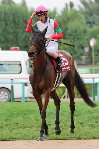 【札幌記念】牝馬ココナッツブラウンが追い込んで2着　北村友一騎手「勝ち馬の立ち回りの素晴らしさに尽きます」