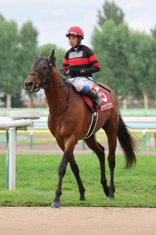 【札幌記念】ホウオウビスケッツは7着同着　1番人気は14年連続の黒星　岩田康誠騎手「申し訳ない」