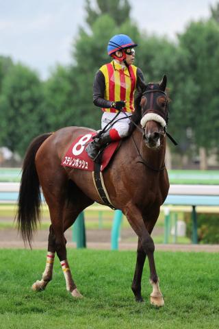 【札幌記念】昨年の桜花賞馬ステレンボッシュは15着に沈む　池添謙一騎手「メンタルとしか言いようがないです」