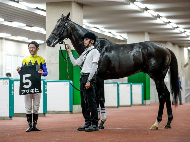 【阿賀野川特別レース後コメント】アマキヒ戸崎圭太騎手ら