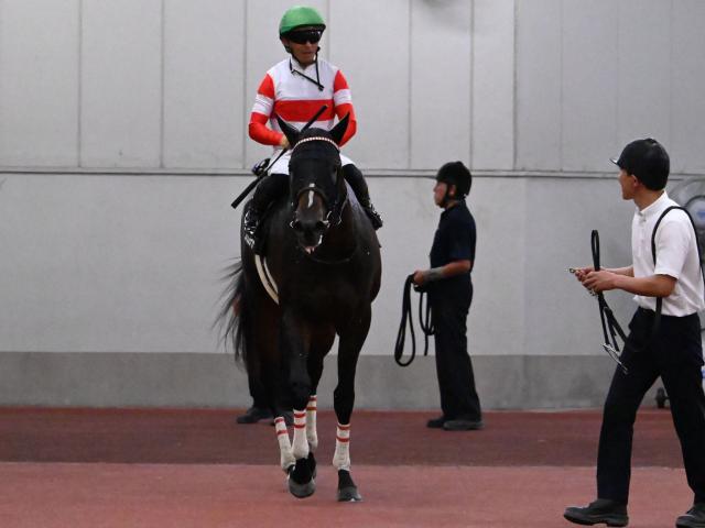 【常滑特別レース後コメント】ダノンジョーカー川田将雅騎手ら