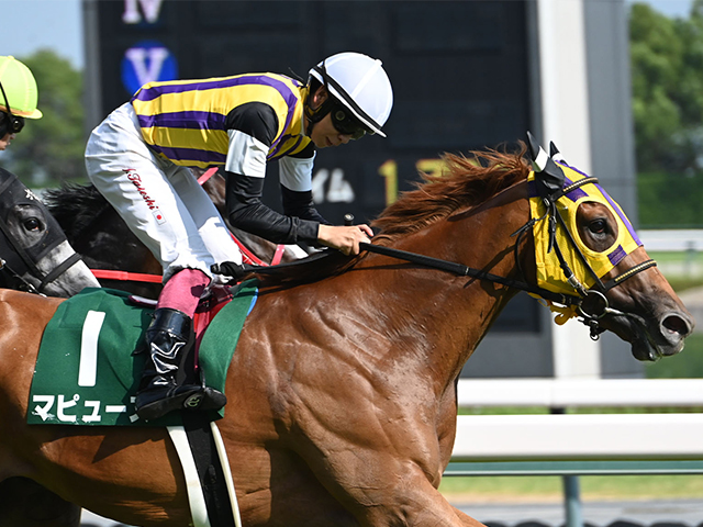 【中京記念レース後コメント】マピュース横山武史騎手ら