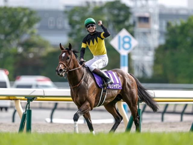 新潟2歳SとキーンランドC 20日には英インターナショナルS/今週の競馬界の見どころ