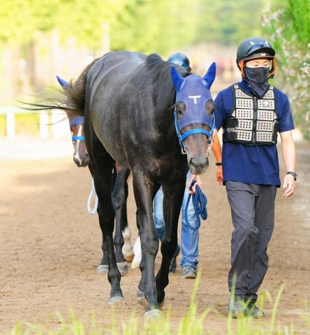 【新潟2歳S展望】デビュー戦圧勝のリアライズシリウスに期待