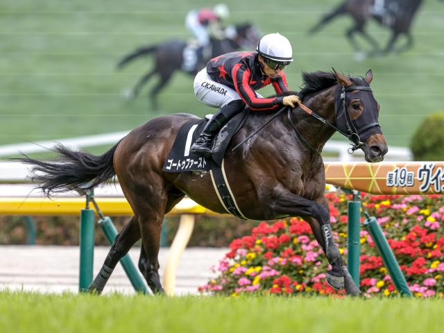 【仏・ジャックルマロワ賞結果】ゴートゥファースト5着、アスコリピチェーノ6着 愛国のディエゴヴェラスケスがV